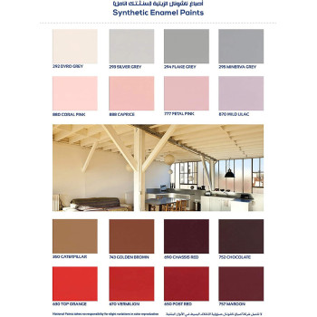 National Paint Oil Paint Synthetic Enamel 1Ltr, 420 Sky Blue