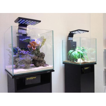 Dymax Black Wood Grain...