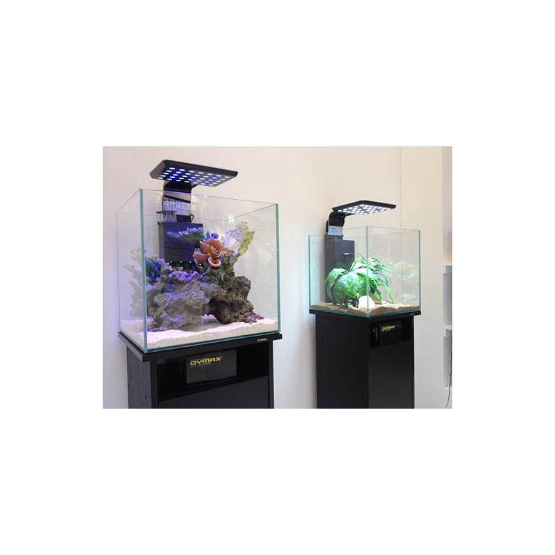 Dymax Black Wood Grain Cabinet For Fish, 42 cm, Cube