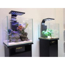 Dymax Aquarium Black Wood Grain Cabinet For Fish, 50 cm, Cube