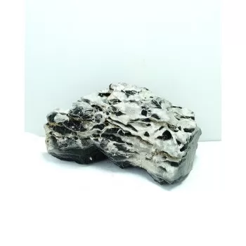 Sv Aquarium Deco Black And...