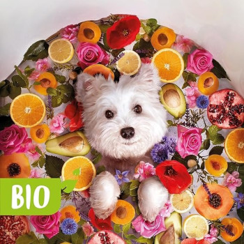 Beaphar Bio Cosmetic Puppy Shampoo Active Ingredients From Organic Farming, 200 Ml