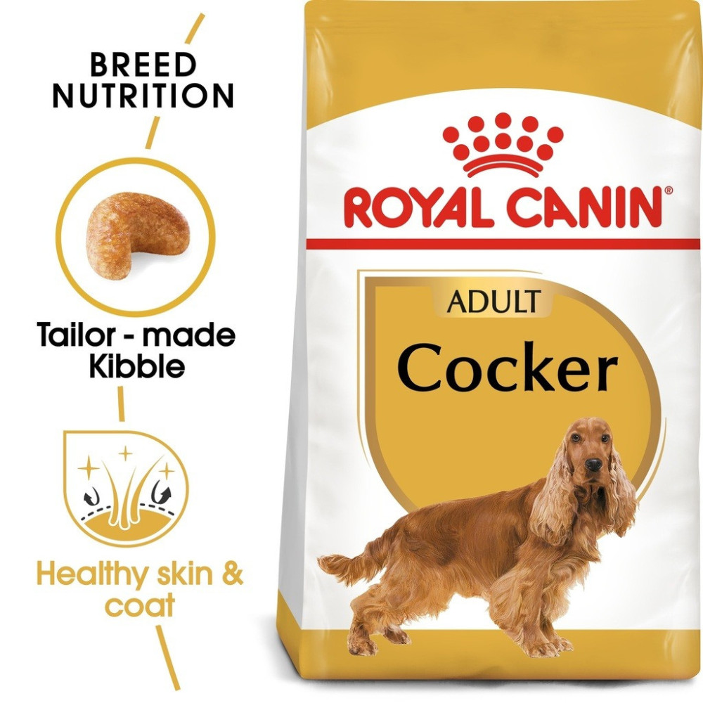 Royal Canin Adult Cocker Breed Health Nutrition Dog Food, 3 Kg