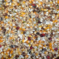 Farma Breeding Pigeon Diet...