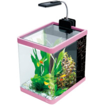 Boyu Arts Led Aquarium, 35 X 21 X 26 Cm, Pink
