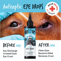 Bugalugs Antiseptic Eye Drops For Dog And Cat, 200ml