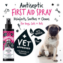 Bugalugs Antiseptic First Aid Spray For Dog And Cat, 200ml