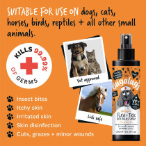 Bugalugs Antiseptic Flea And Tick Bite Relief Spray For Dog And Cat, 200ml