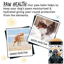 Bugalugs Nose And Paw Balm For Dog, 40g