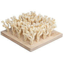 Bunny Nature By Puppijames...