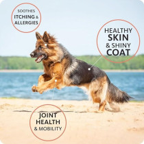 Brilliant Salmon Oil For Dogs And Cats, 300Ml
