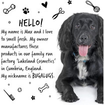 Bugalugs Luxury 2 In 1 Papaya And Coconut Dog Shampoo And Conditioner, 500Ml