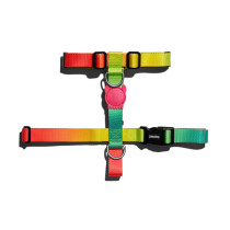 Zee.Dog Citrus H-Harness For Dog, Long Lasting, Large