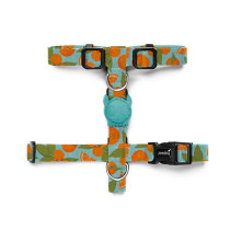 Zee.Dog Florida H-Harness For Dog, Long Lasting/Lightweight, Extra Small