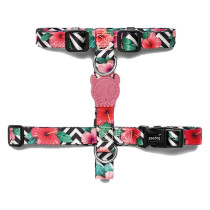 Zee.Dog Mahalo H-Harness, Lightweight And Durable, Large