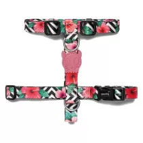 Zee.Dog Mahalo H-Harness,...