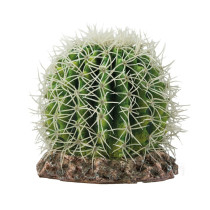 Hobby Terrarium Decoration, Cactus Sonora, Medium