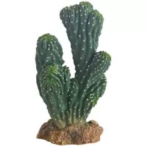 Hobby Victoria Cactus...
