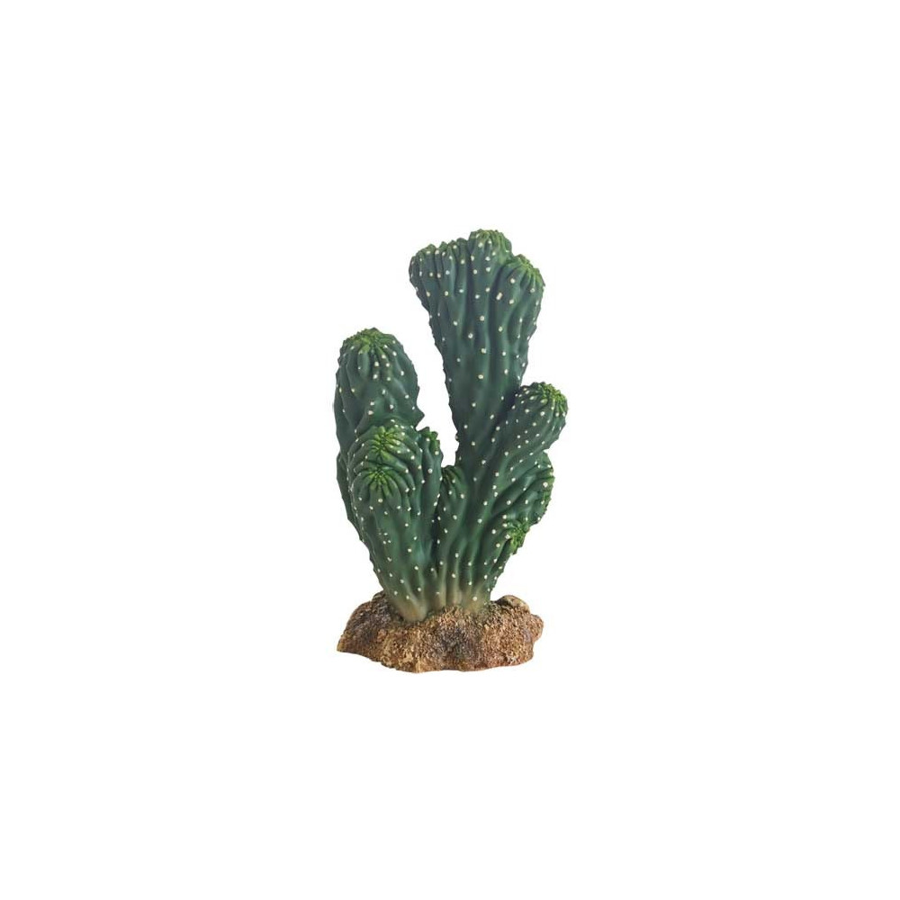 Hobby Victoria Cactus Figurine Height, 19Cm