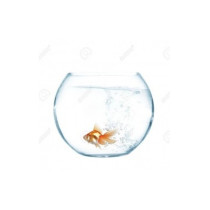 Camry Glass Fish Bowl, 8...