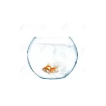 Camry Glass Fish Bowl, 8...