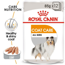 Royal Canine Care Nutrition Coat Care Dog Wet Food, 12 x 85G
