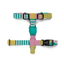 Zee.Dog Salina H-Harness,...