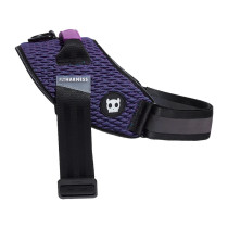 Zee.Dog Wicked Flyharness, Lightweight/Adjustable, Size 3 (Girth 55-77Cm)