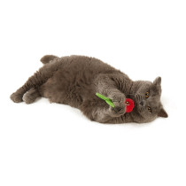 FOFOS Flower Bud Assorted Display Box, 18 Pieces