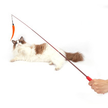 FOFOS Retractable Worm Cat Wand Cat Toy For Big Cats And Kittens, Orange