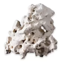 Hobby Cavity Rock Asian For...
