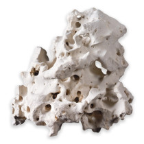 Hobby Cavity Rock Asian For Aquarium Decor, Large Size, 2 To 3.5 Kg