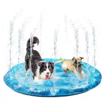 All For Paws Chill Out...