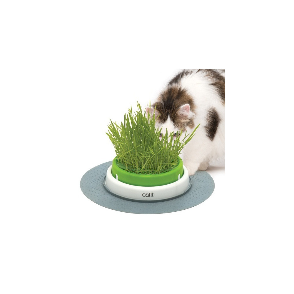 Catit Senses 2.0 Grass Planter, Interactive Cat Toys
