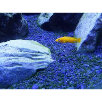 Seachem Cichlid Lake Salt Replicates The Environment Of African Cichlids, 250G