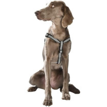 Bobby Classique Chic Harness, Black, Small