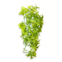 Hobby Terrarium Decoration,...