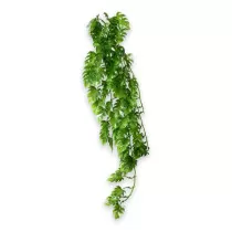 Hobby Terrarium Decoration,...
