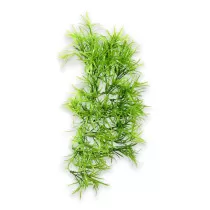 Hobby Terrarium Decoration,...