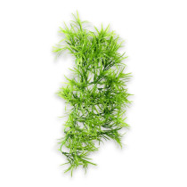 Hobby Terrarium Decoration, Climber Tropica, 37 Cm