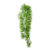 Hobby Terrarium Decoration, Climber Tropica, 70 Cm