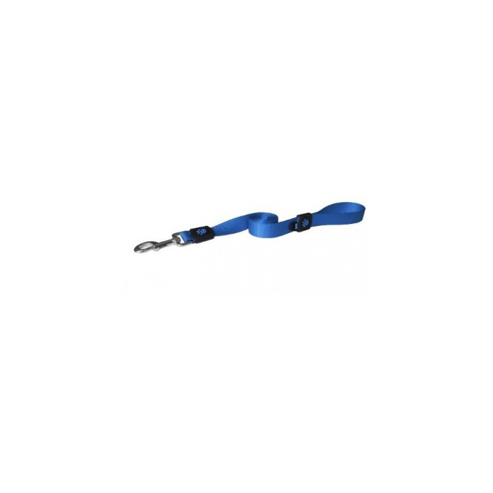 Doco 4 Feet Signature Nylon Dog Leash, Blue, Large