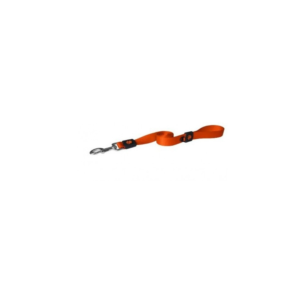 Doco 4 Feet Signature Nylon Material Dog Leash, Orange, Medium