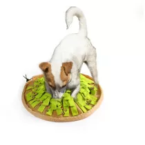 All For Paws Dig It...