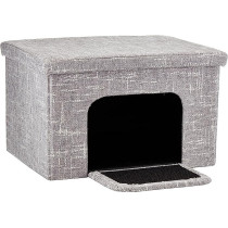 Midwest Feline Curious Cat...