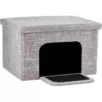 Midwest Feline Curious Cat...