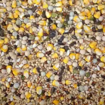 Farma Daily Complete Pigeon...