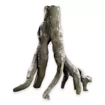Hobby Decorative Root For...