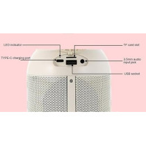 Yu Well Sd08 10W Multi-Function Camping Lantern With Karaoke Player With Big Sound Speaker And 2 Wireless Stereo Bluetooth Microphones For Camping Partying, Lantern/Speaker, Black