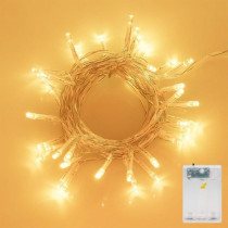 Yu Well LED Fairy Light For Wedding, Festival, Home , Warm White, 100 LED, 7 Meter